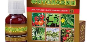 Οδηγίες για τη χρήση του μυκητοκτόνου Fitolavin, μηχανισμός δράσης και ρυθμοί κατανάλωσης