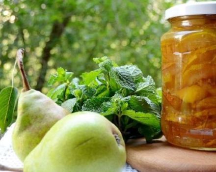 TOP 6 receptai, kaip gaminti kietą kriaušių uogienę žiemai