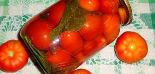 10 besten Rezepte zum Einlegen von Tomaten für den Winter in Honigsauce mit Knoblauch