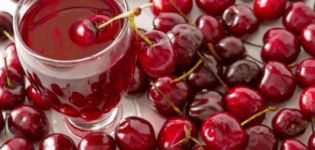 TOP 7 Rezepte für die Herstellung von Kirschsaft für den Winter zu Hause