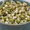 Опис сорте грашка Масх, корисна и штетна својства