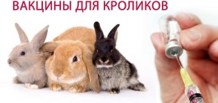 Упутство за употребу ХБВ вакцине за куниће, врсте вакцинације и дозе