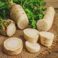 Mô tả và đặc điểm của ngò tây, những giống tốt nhất cho vùng đất trống