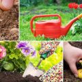 Månens såkalender med plantinger av gartneren til juli 2020