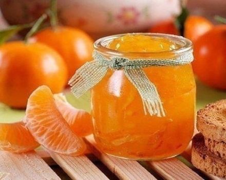 Proste przepisy na robienie dżemu mandarynkowego na zimę