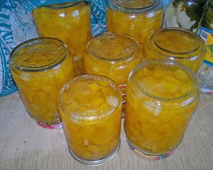 TOP 13 Rezepte für die Herstellung von Zitronenmarmelade mit Schale