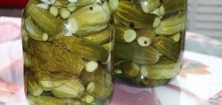 4 receitas passo a passo de pickles crocantes da vovó para o inverno