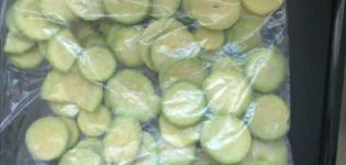 10 geriausių receptų, kaip žiemą namuose užšaldyti šviežias ir keptas cukinijas