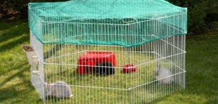 Израдите самостално изградњу авијара за куниће и узгој код куће