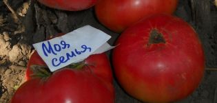 Beskrivelse af tomatsorten Min familie, dyrkningsfunktioner og udbytte