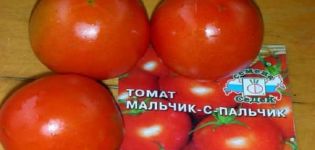 Описание на сорта домат Момче с пръст, особености на отглеждане и грижи