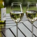 4 receitas fáceis caseiras de vinho de uva verde
