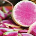 وصف مجموعة daikon متنوعة Misato Pink بريق ، وميزات الزراعة والرعاية