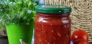 9 najlepších receptov na šťavu z paradajok na zimu doma