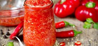 8 καλύτερες κλασικές συνταγές για την κατασκευή adjika για το χειμώνα