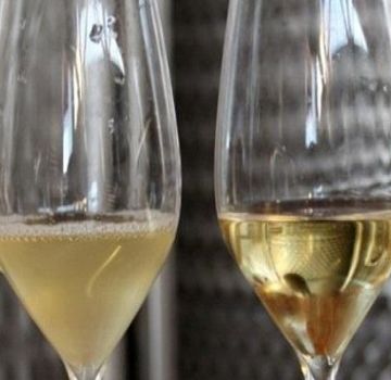 Como clarificar o vinho com gelatina em casa, regras e proporções