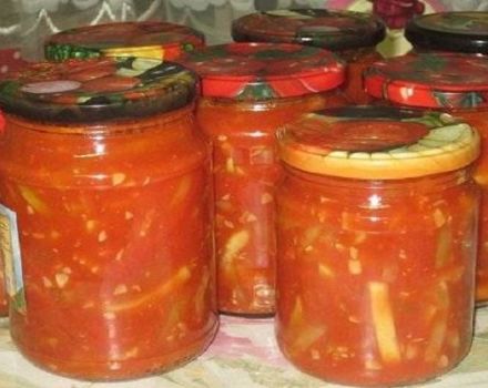 Kış için Krasnodar soslu kabak konservesi için en iyi 3 tarif