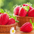 Descrição e características da variedade de morango Eliane, cultivo e cuidado
