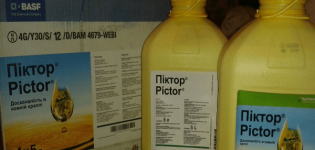 Pokyny na použitie fungicídu Pictor a miery spotreby