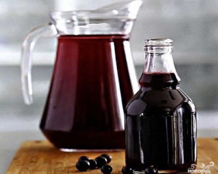 TOP 2 Rezepte für die schrittweise Zubereitung von Johannisbeersirup für den Winter