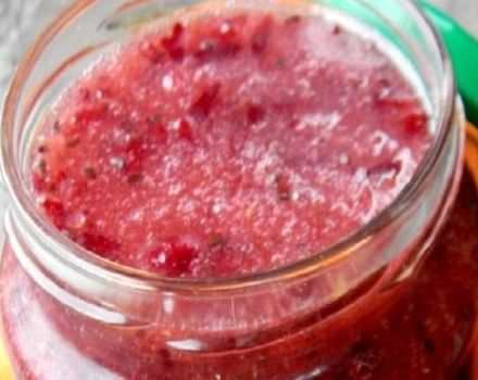 Receita passo a passo para fazer purê de ameixas com açúcar para o inverno