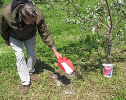 Wie kann man eine Birne im Frühling, Sommer und Herbst füttern, Regeln und Normen der Düngung
