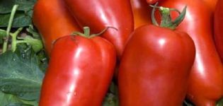 Beskrivelse av Bonanza-banan-tomatsorten og dens egenskaper