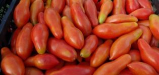 Характеристики и описание на сорта домати Banana портокал