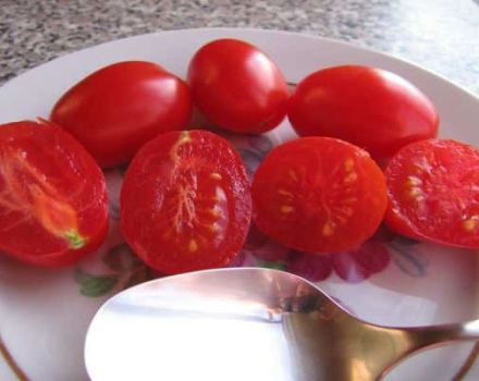 Beschreibung der Sorte Tomate Lollipop, Merkmale des Anbaus und Ertrags