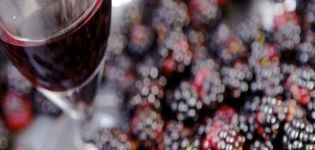 9 einfache Rezepte für die Zubereitung von Brombeerwein zu Hause