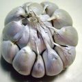 По какво се различава пролетният чесън от зимния чесън и кой е по-добре да се съхранява