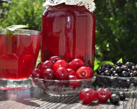 Žingsnis po žingsnio skanus kompoto iš serbentų ir vyšnių žiemai receptas