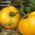 Χαρακτηριστικά και περιγραφή της ποικιλίας ντομάτας Γλυκό ντόνατ, η απόδοσή του