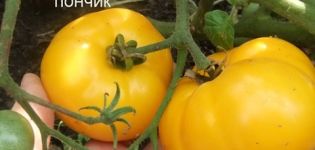 Характеристики и описание на сорта домат Сладък поничка, неговият добив