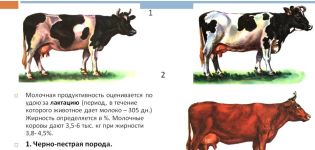 Jakie czynniki wpływają na produkcję mleka u krów i metody oznaczania