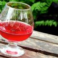 TOP 6 recetas sencillas para hacer vino de sandía en casa