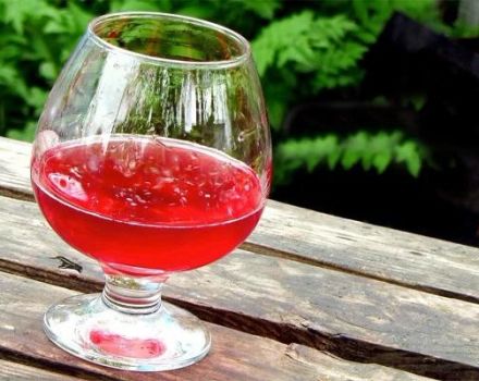 TOP 6 semplici ricette per fare il vino dall'anguria a casa