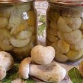 TOP 10-recept på hur man saltar svampmjölksvampar och lurar på ett varmt och kallt sätt för vintern