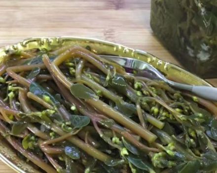 4 Schritt-für-Schritt-Rezepte für mariniertes Portulak auf Armenisch für den Winter