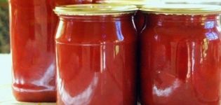 Opskrifter på ketchup med æbler til vinteren derhjemme slikker du fingrene