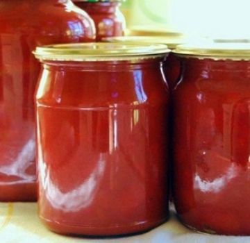 Receitas de ketchup com maçãs para o inverno em casa você vai lamber os dedos