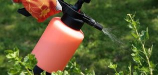Wie man Trauben mit Wasserstoffperoxid richtig verarbeitet und Verbrauchsraten zum Sprühen