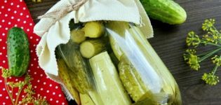 Einfache und leckere Rezepte zum Einlegen von Gurken mit Zucchini für den Winter