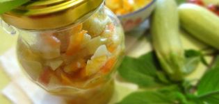 7 delicious recipes for marinating zucchini with carrots for the winter