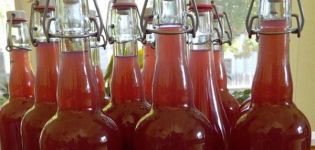 10 simple recipes for making wine from fruit compote at home