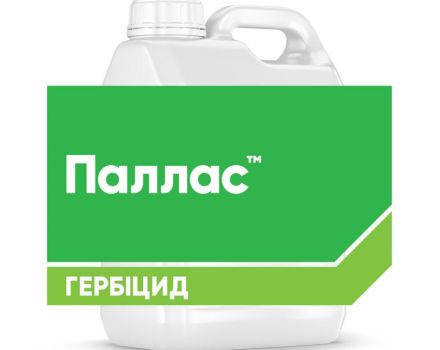 Састав и облик ослобађања хербицида Паллас, упутства за употребу и аналози
