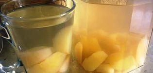 Кување компота од диње за зиму, једноставни рецепти са и без стерилизације