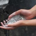 Како хранити трешње током зрења воћа и након бербе у лето, пролеће и јесен