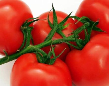 Descrição da variedade de tomate subártico, suas características e cultivo