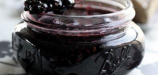 Một công thức đơn giản để chuẩn bị nho đen cho mùa đông mà không cần đường trong nước ép của riêng họ